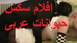  افلام سكس حيوانات عربى مدام هايجة وكسها مولع نار تمارس النيك مع الكلب